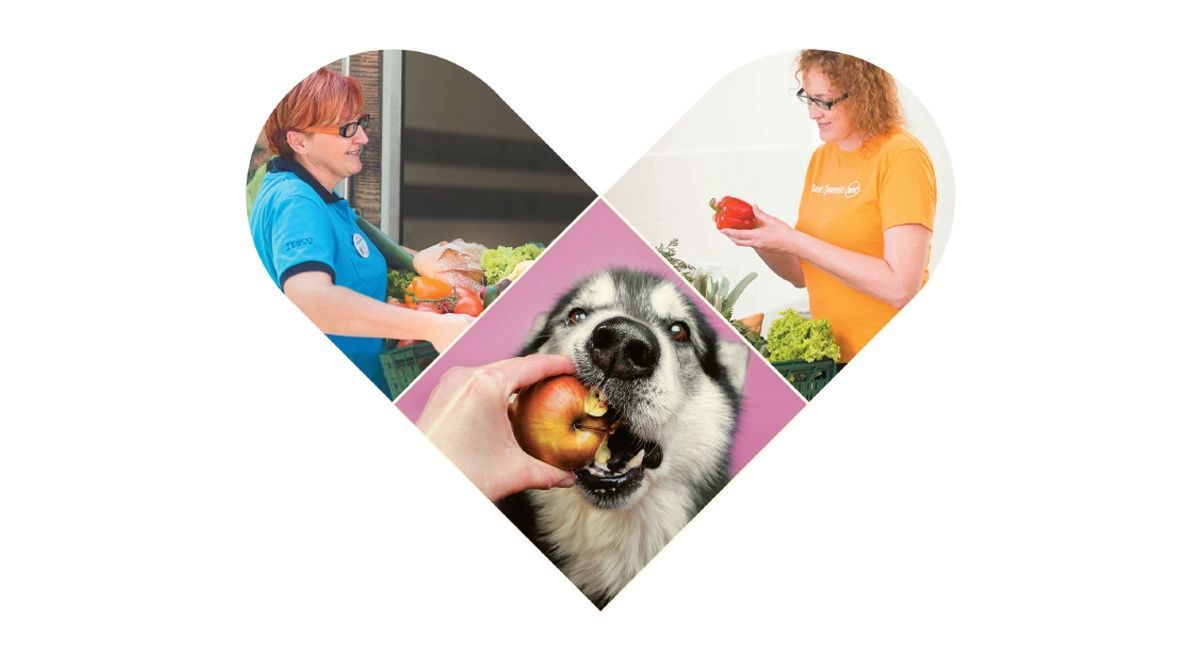 Czołowy supermarket w Polsce będzie oddawał niesprzedaną żywność zwierzętom ze schronisk i nie tylko