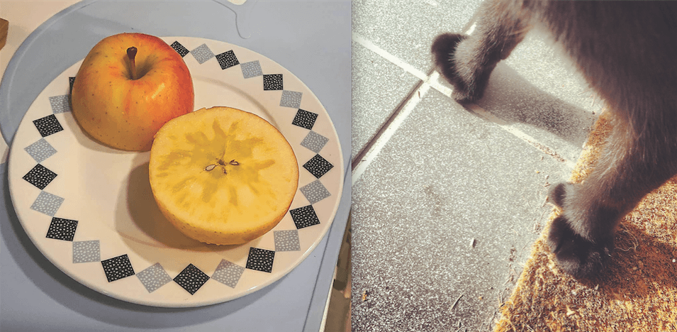 Zero Likes Given – wystawa postów, które uzyskały 0 polubień na Instagramie