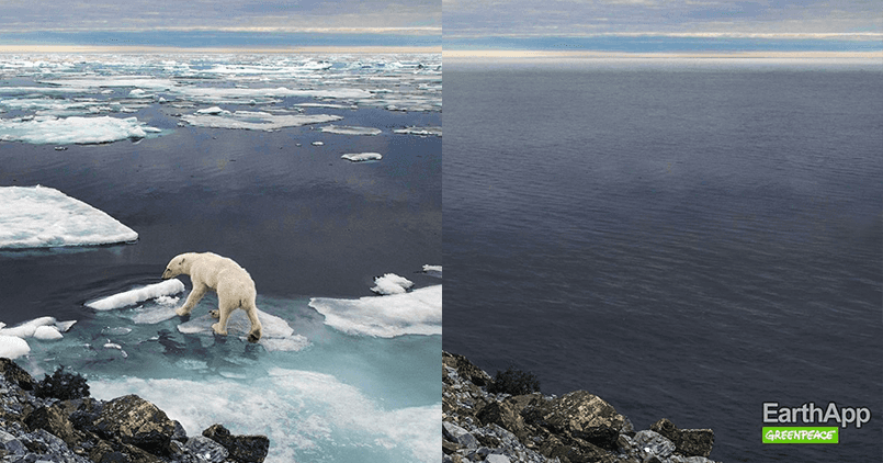 Greenpeace pokazał swoją wersję FaceApp. Efekt jest porażający