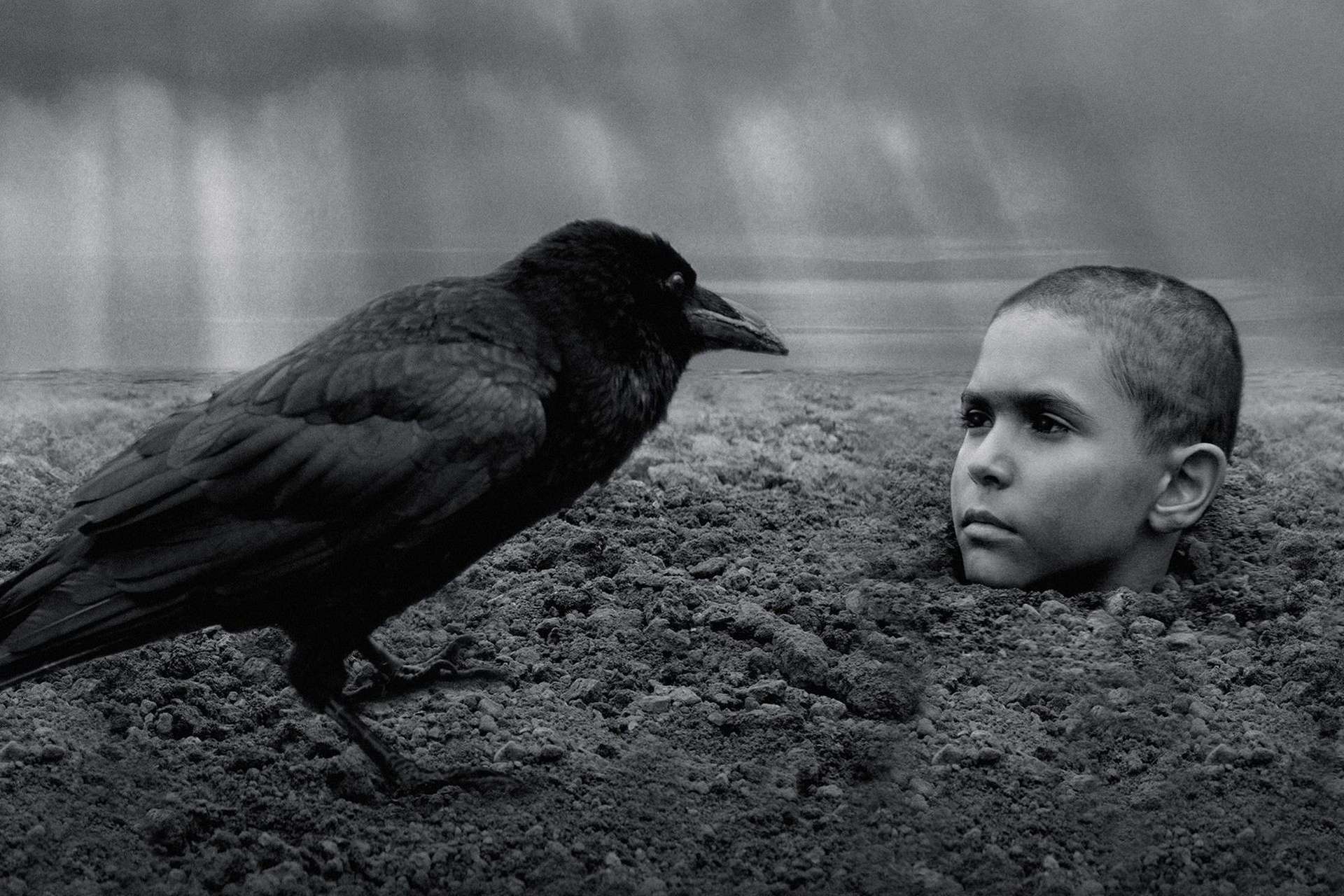 Jest pełny zwiastun filmu "Malowany ptak" na podstawie kontrowersyjnej książki Kosińskiego