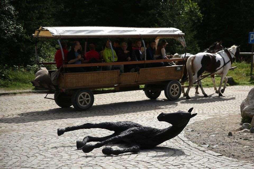 Artystka wciągnęła rzeźbę konia na tatrzański szlak. "Role się odwróciły"