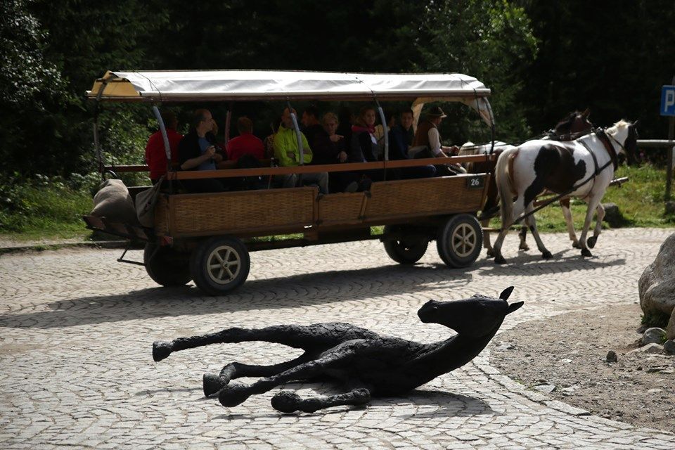 Artystka wciągnęła rzeźbę konia na tatrzański szlak. "Role się odwróciły"