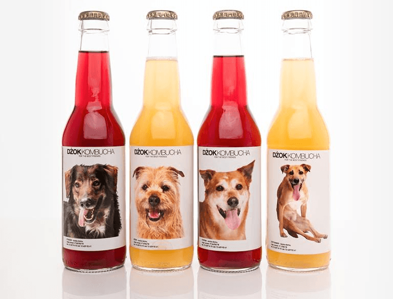 Bezdomne psy na etykietach polskich lemoniad. Pomysłowa zachęta do adopcji zwierząt ze schroniska