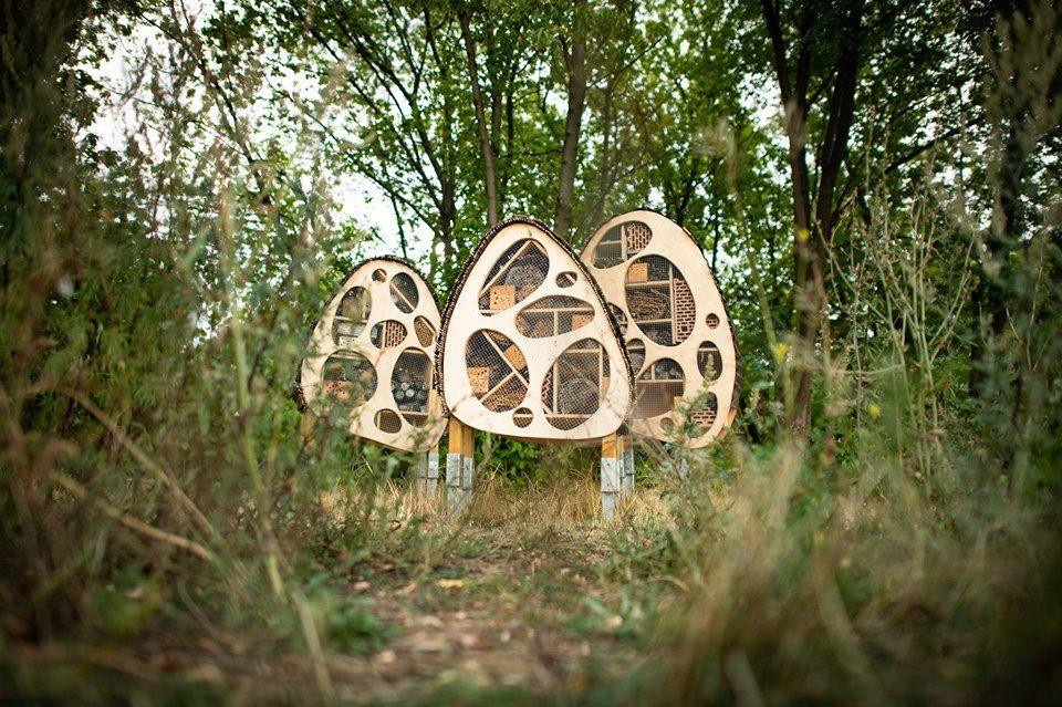 W Warszawie pojawiły się nowoczesne domki dla owadów. Wyglądają pięknie