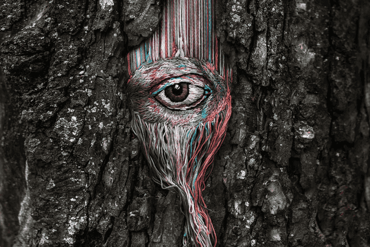 Diana Yevtukh – ukraińska artystka, która naprawia pęknięte drzewa haftami