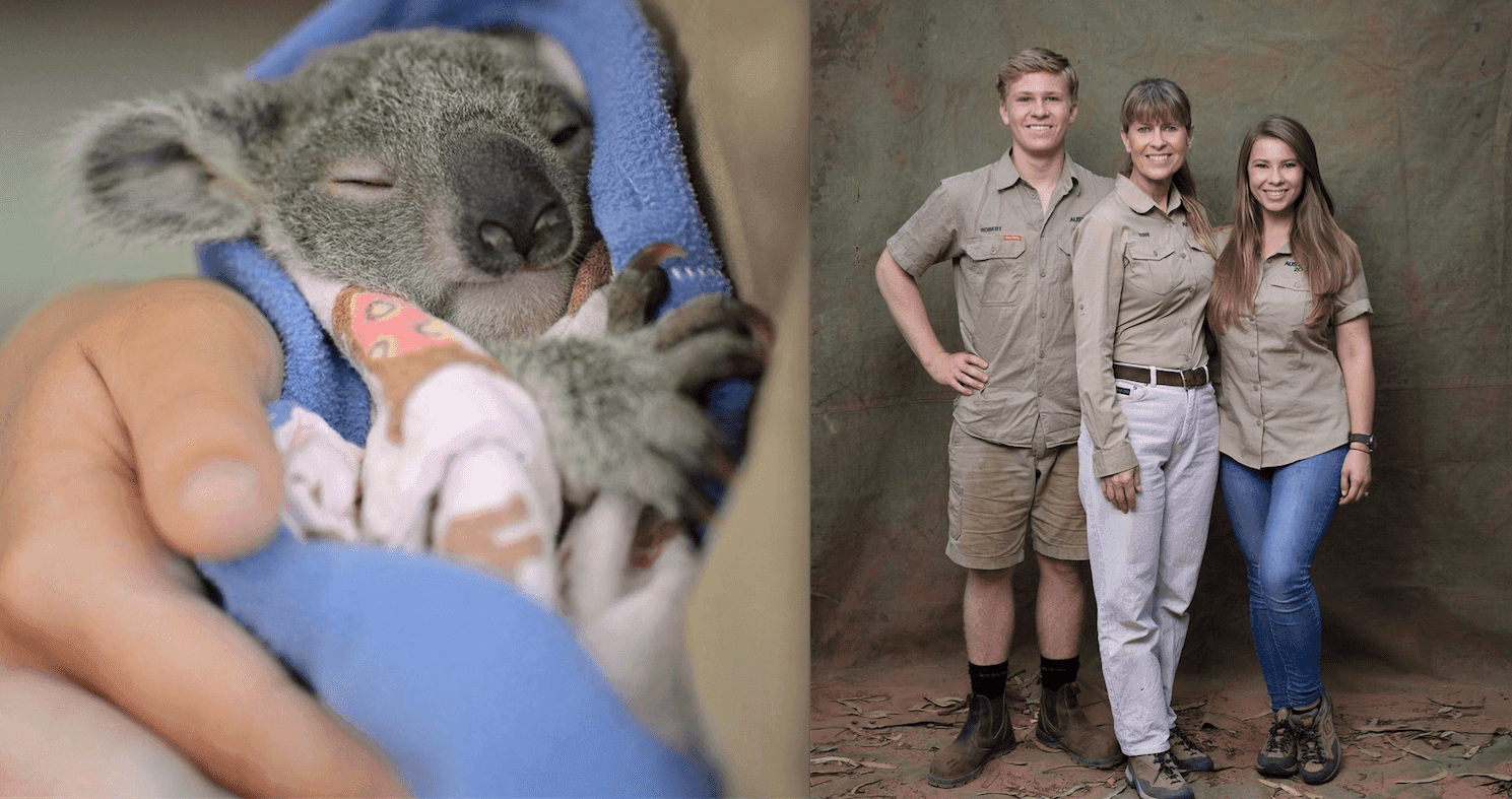 Dzieci i żona Steve'a Irwina uratowali już 90 tys. australijskich zwierząt. Teraz proszą o wsparcie pieniężne