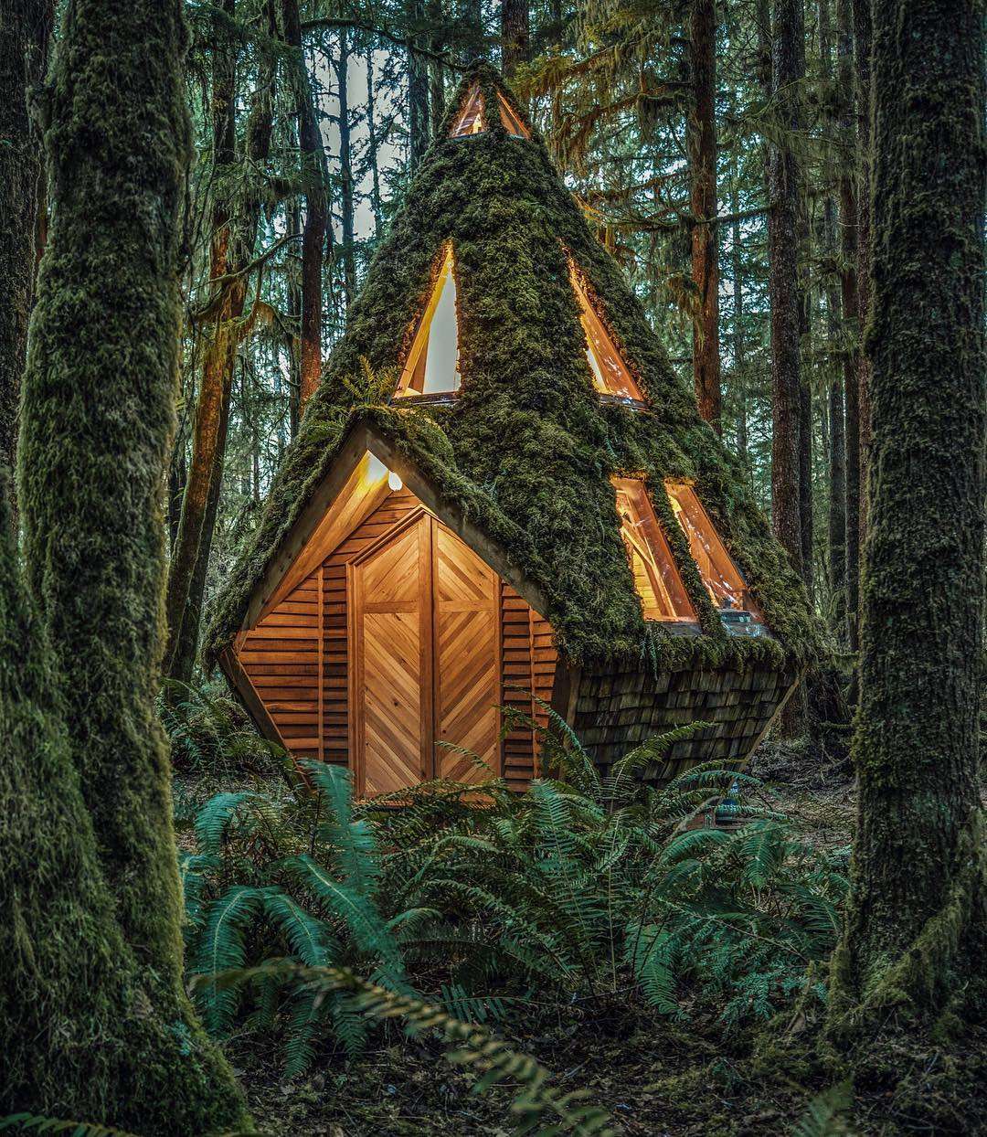 Bajkowe chatki porośnięte mchem. Budowniczy opowiadają o swoim projekcie na YouTubie