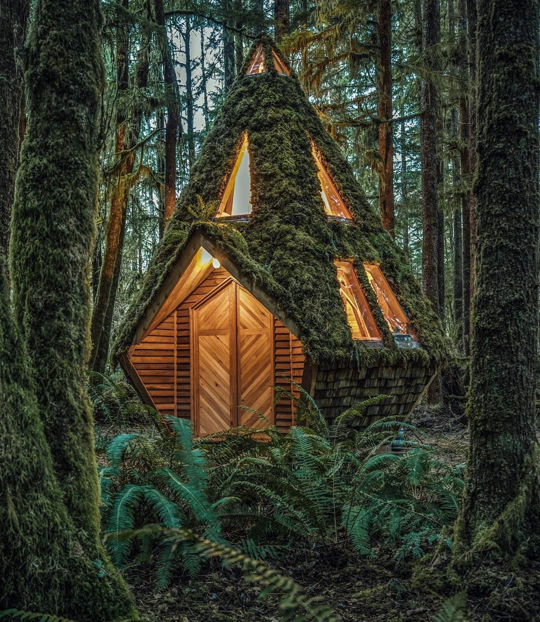 Bajkowe chatki porośnięte mchem. Budowniczy opowiadają o swoim projekcie na YouTubie