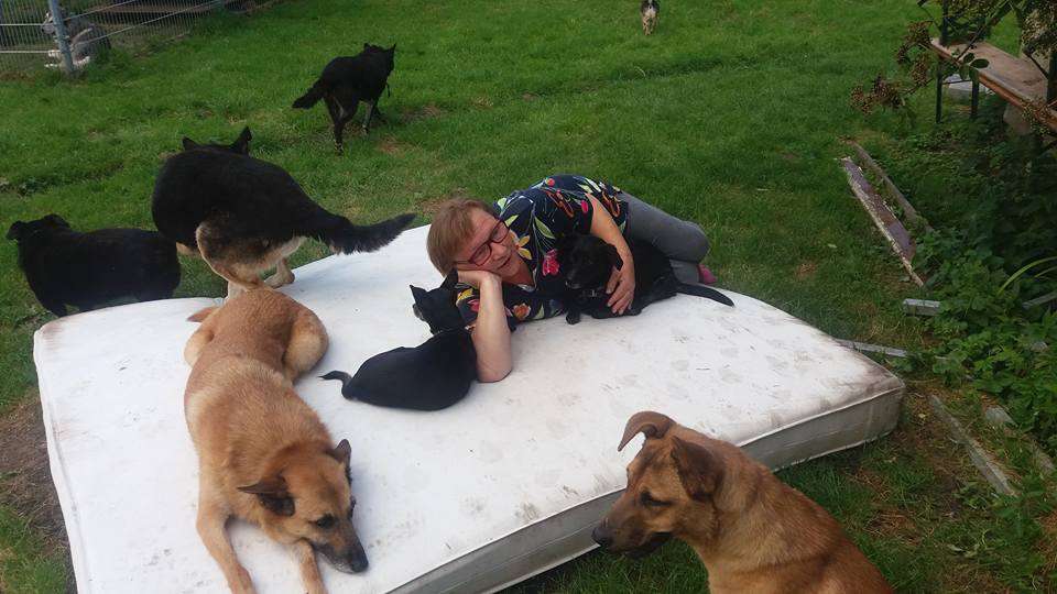 Założyła Staruszkowo dla starych, umierających psów, aby nie były same podczas końca drogi