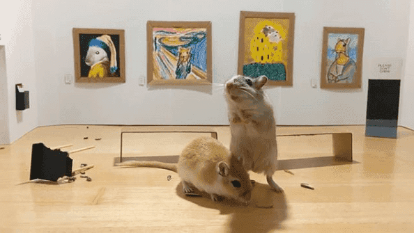 Mini-Muzeum dla myszoskoczków? Przeuroczy pomysł londyńskiej pary to hit internetu