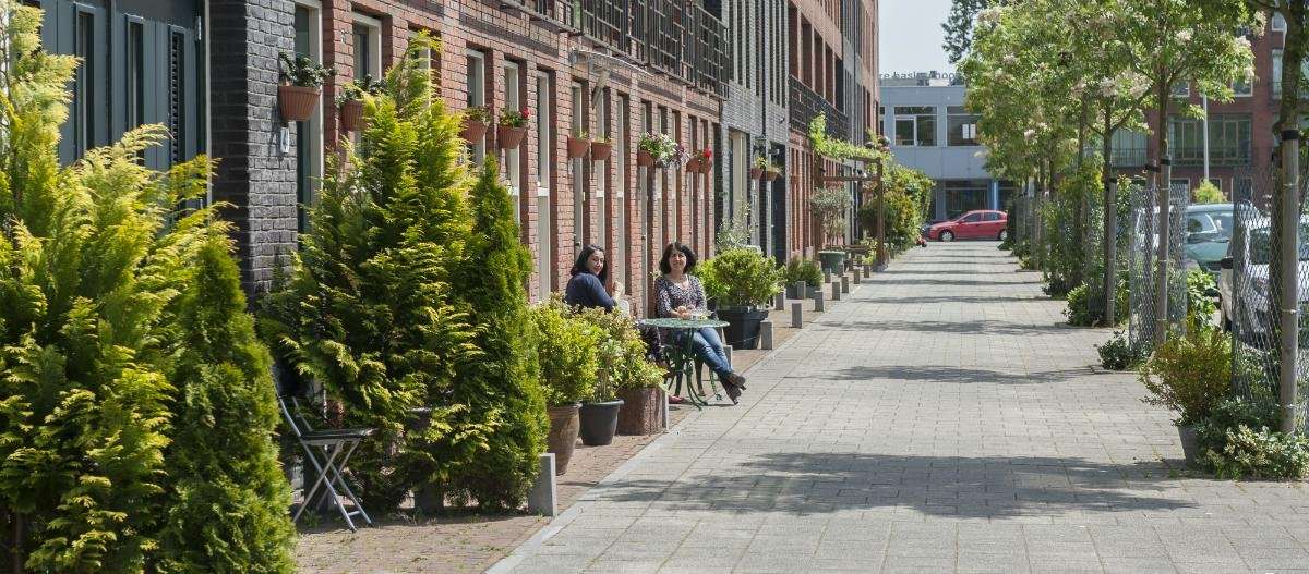 Rotterdam zachęca do rozłupywania chodników i sadzenia roślin. To jeden ze sposobów walki ze zmianami klimatycznymi