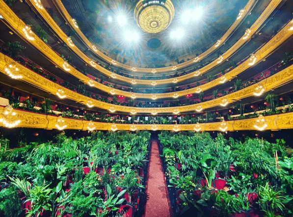 Opera w Barcelonie zorganizowała koncert dla… 3 tysięcy roślin. Tak celebruje otwarcie dla gości