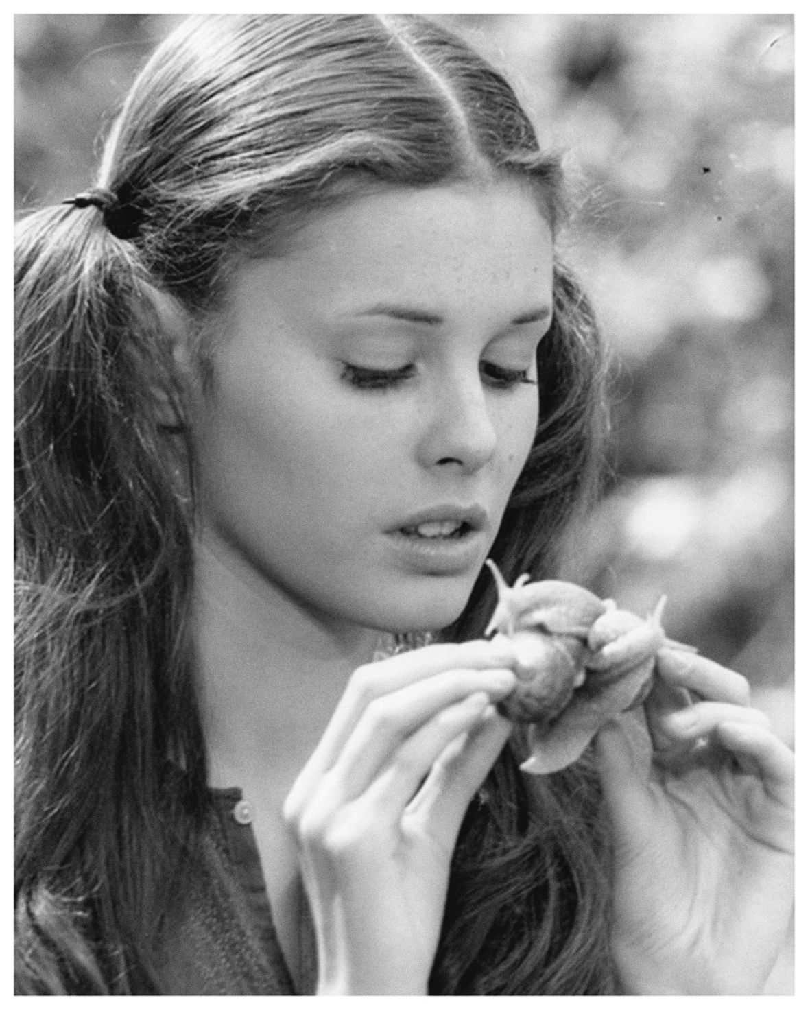 „Inside Insect”, Jorge Fuembuena