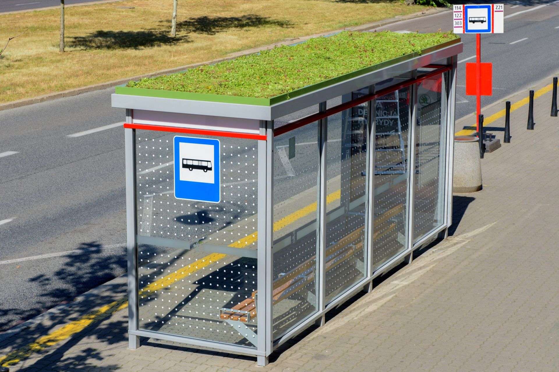 Zielony Żoliborz? W Warszawie powstał pierwszy ekologiczny przystanek autobusowy