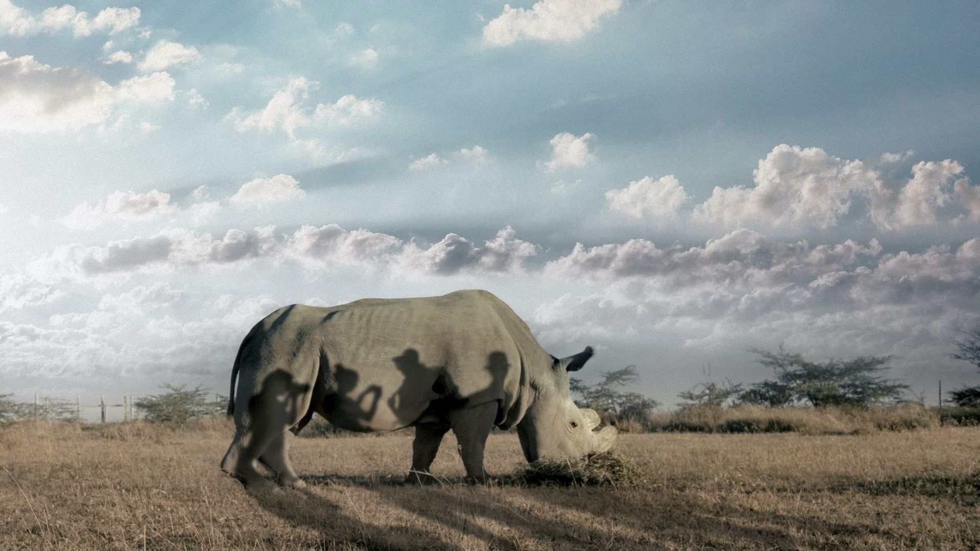 8 dokumentów ekologicznych, które warto obejrzeć podczas festiwalu DOCS Against Gravity