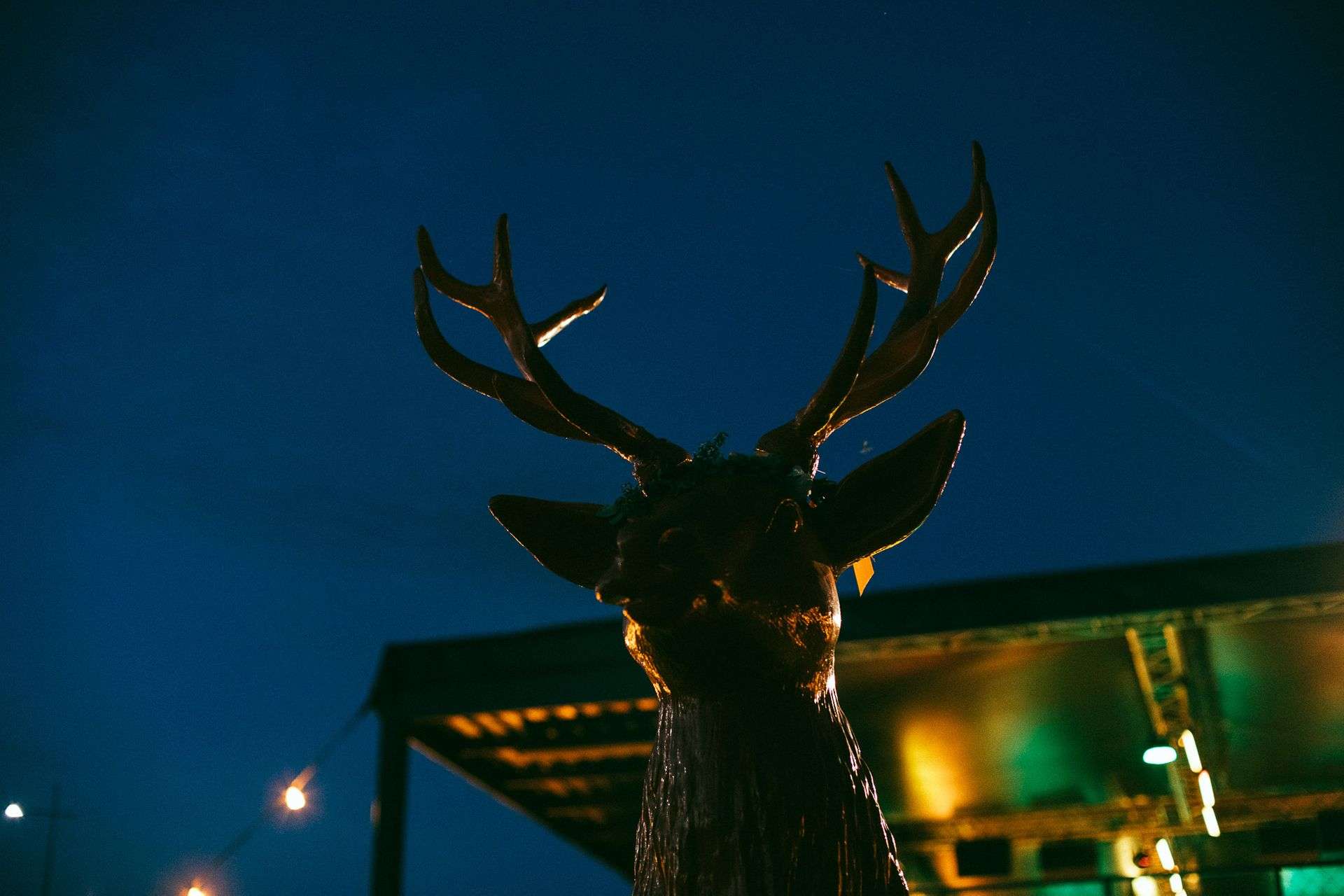 Ostatnia szansa na chill w festiwalowym klimacie. Kultowa Strefa Jelenia czeka na was w Warszawie nad Wisłą