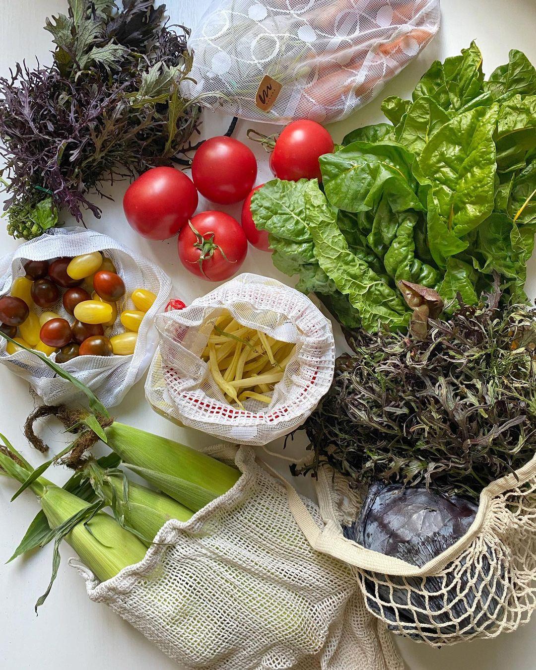 Poznajcie 7 najlepszych kont na Instagramie, które promują ideę less waste