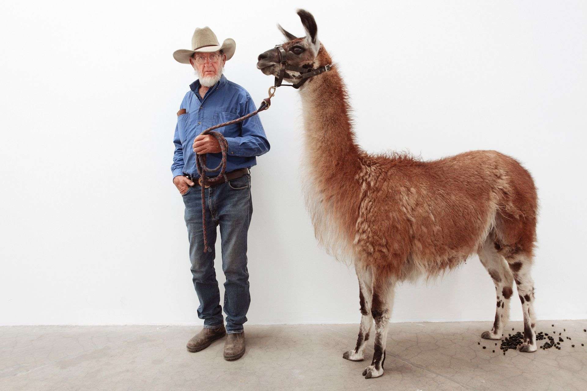 Ironia sposobem na brak radykalizmu. Często wykorzystywana w sztuce i kulturze, lecz bywa niebezpieczna