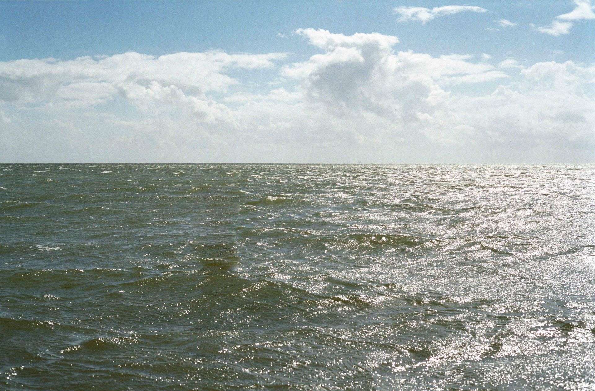 Pożądanie normalności, boom na TikToka, istota potrzeb osobistych. Jak się zmieniliśmy przez ostatni rok (ponad)?