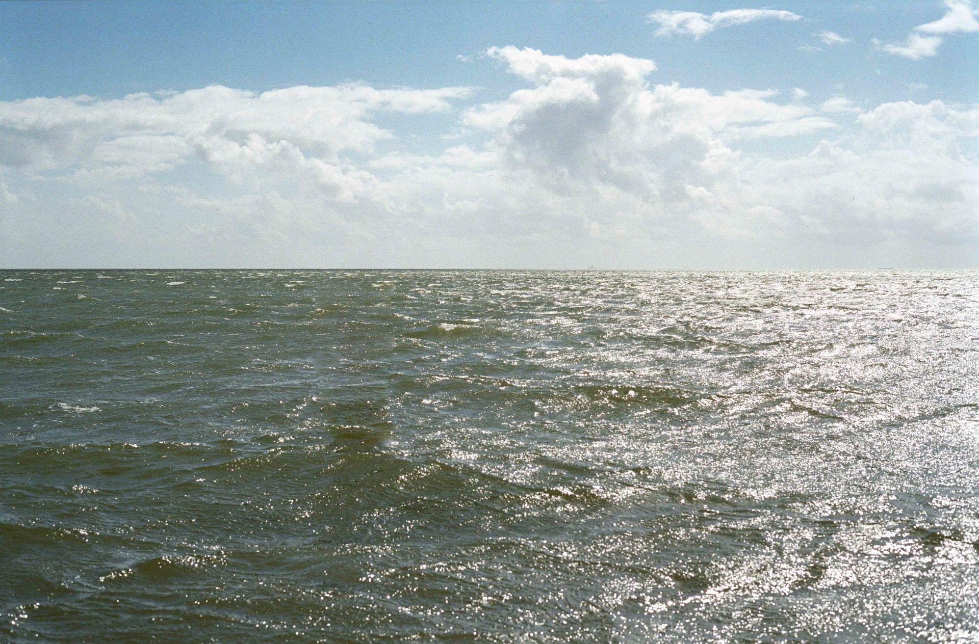 Pożądanie normalności, boom na TikToka, istota potrzeb osobistych. Jak się zmieniliśmy przez ostatni rok (ponad)?