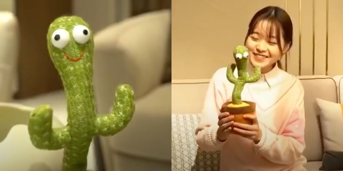 „Koksu pięć gram". Tańczący kaktus-zabawka z Tajwanu rapuje hit polskiego rapera