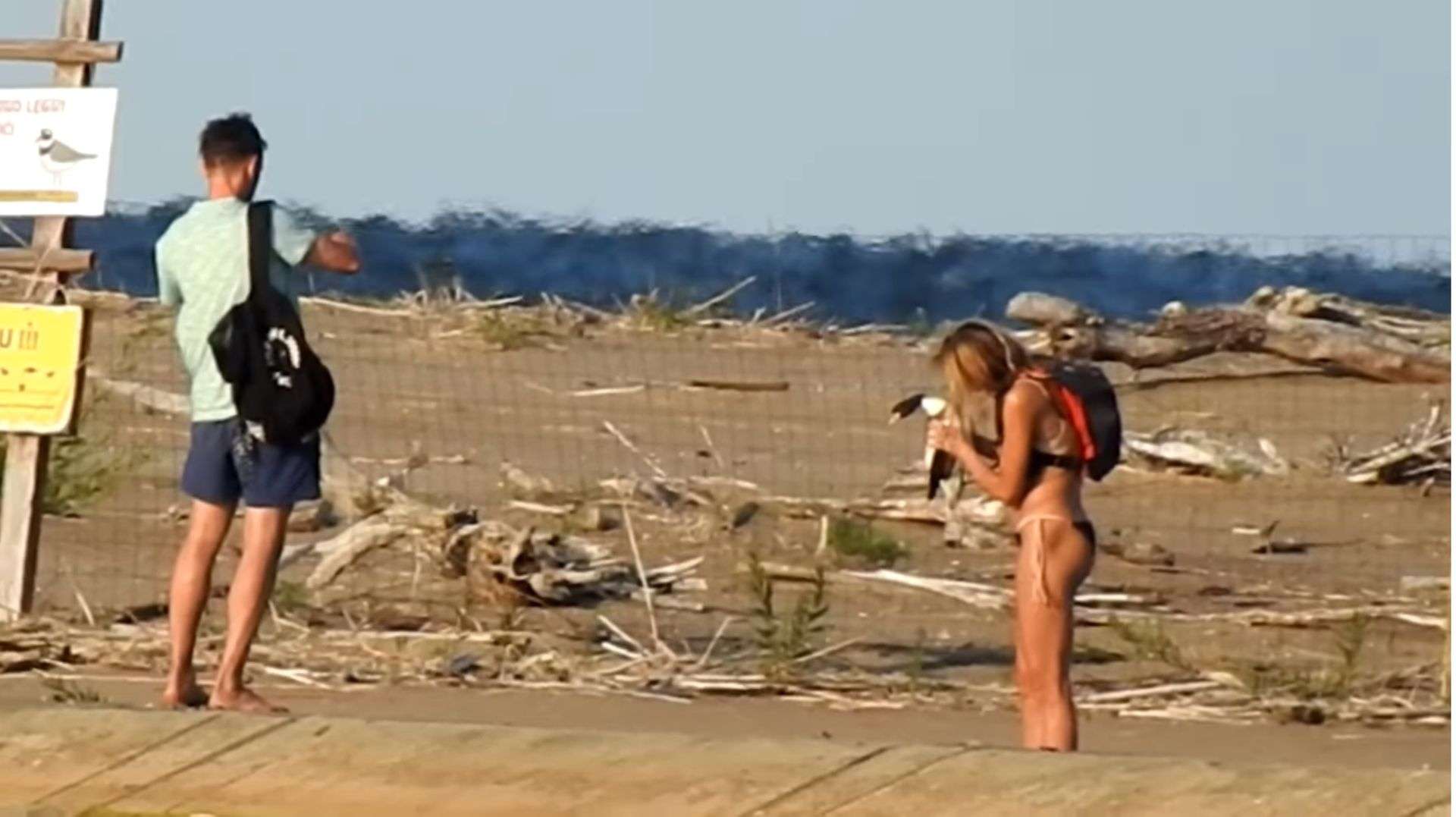 Polscy turyści włamali się do rezerwatu i pozowali z ptakiem. Zwierzę nie przeżyło