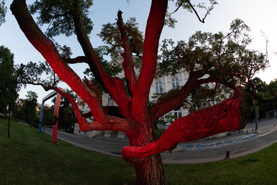 Prosta tęcza, czyli przestrzeń dla wszystkich – rusza letni program Zachęty