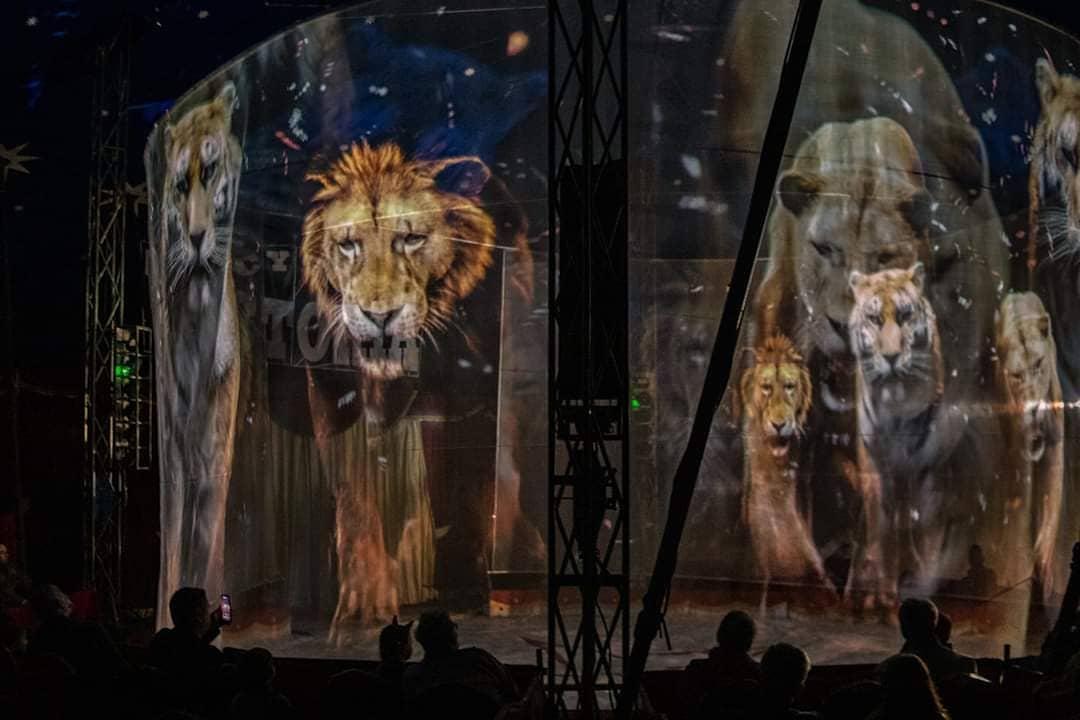 Cyrk z hologramami zamiast zwierząt. Trend nareszcie dotarł do Polski