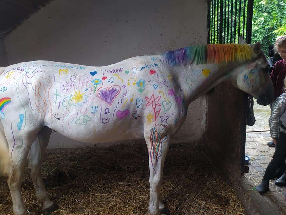 Dzieci pomalowały konia kredkami. Internet zawrzał, ale stajnia nie zamierza przepraszać