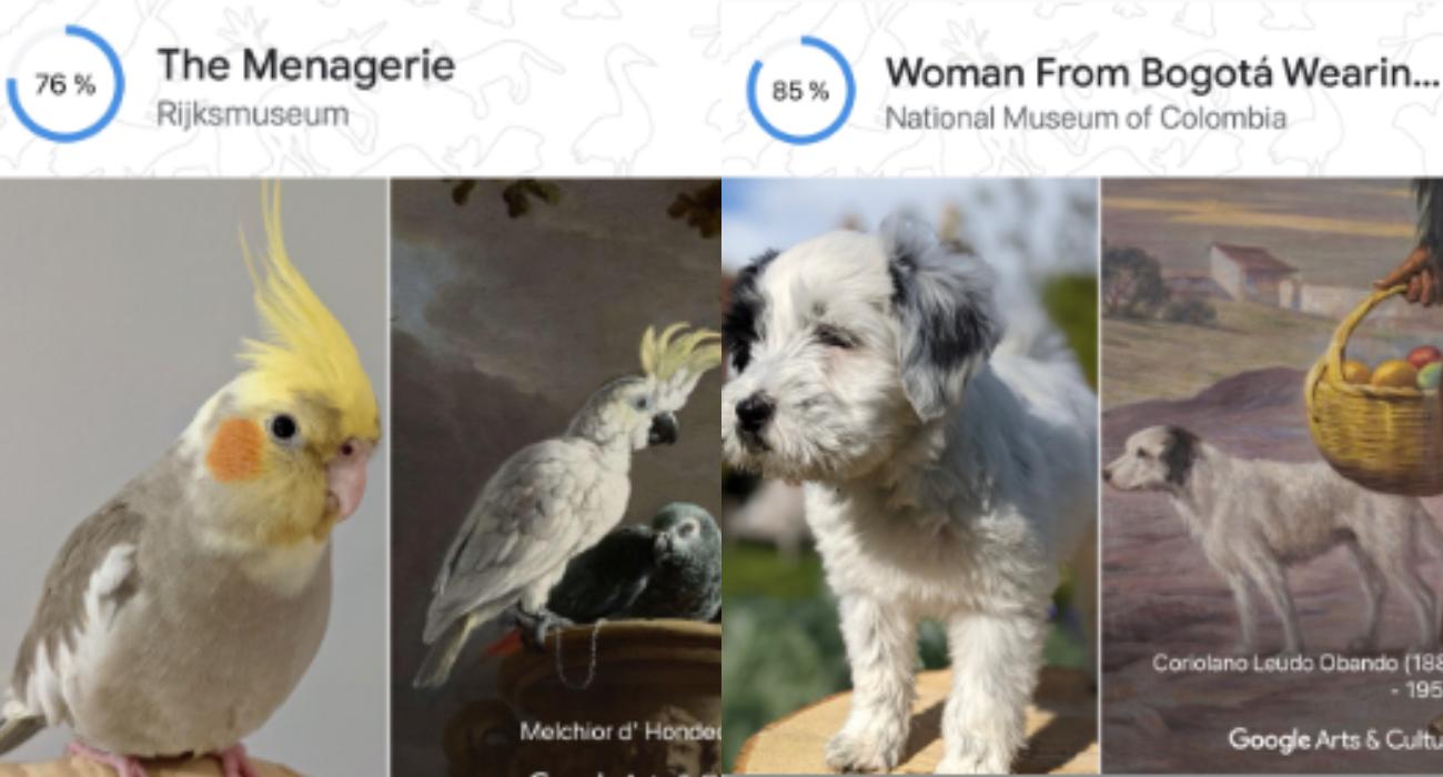 Dzięki nowej funkcji Google znajdziesz sobowtóra swojego zwierzaka na dziełach sztuki