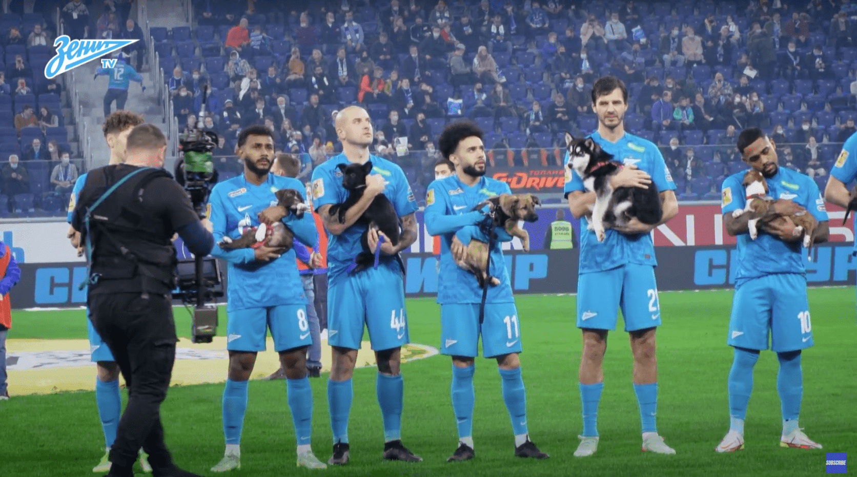 Piłkarze wyszli na boisku z bezdomnymi psiakami, aby zachęcić kibiców do adopcji