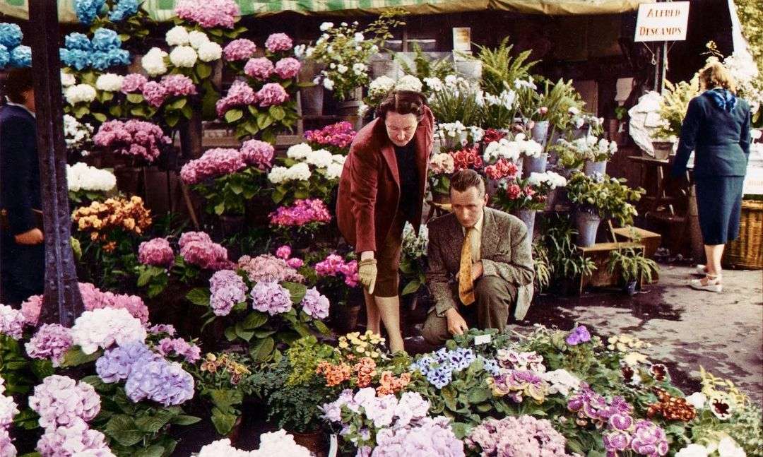 Kim była kochająca kwiaty Catherine Dior? Zapomniana historia muzy i siostry Christiana Diora