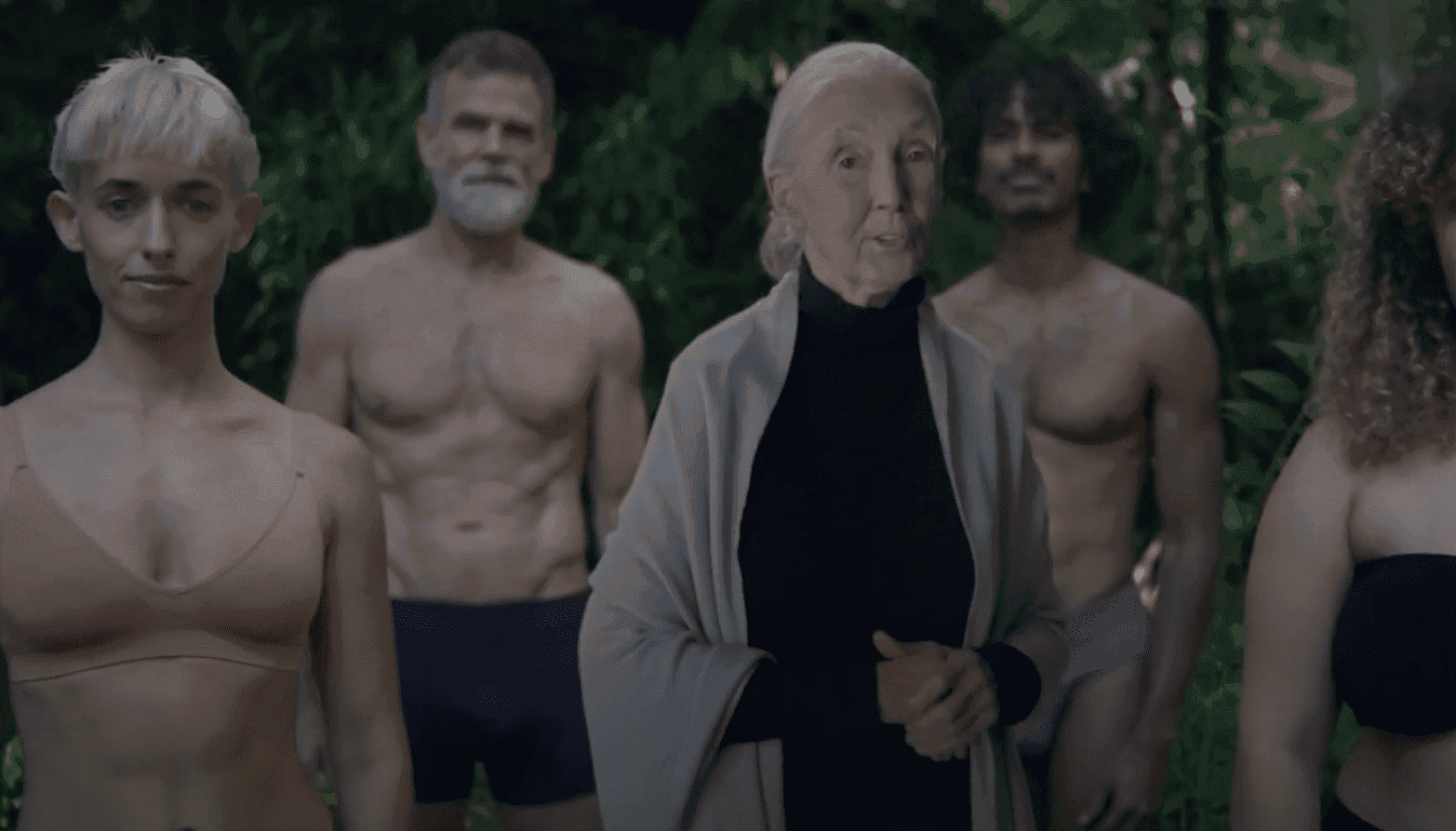 88-letnia badaczka szympansów wystąpiła w reklamie bielizny z bambusa