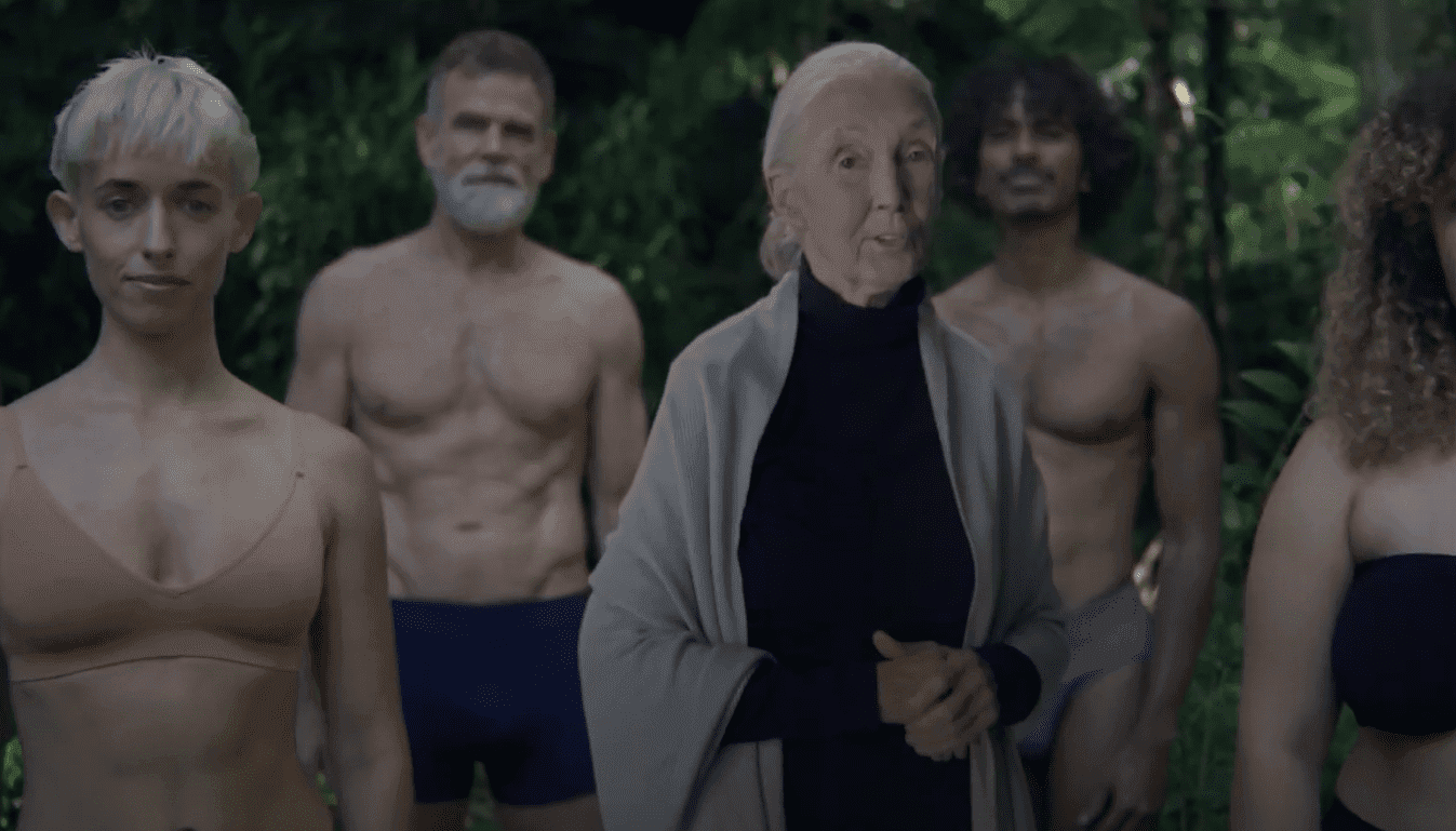 88-letnia badaczka szympansów wystąpiła w reklamie bielizny z bambusa