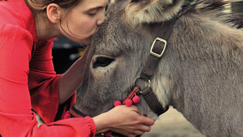 „IO” Jerzego Skolimowskiego polskim kandydatem do Oscara