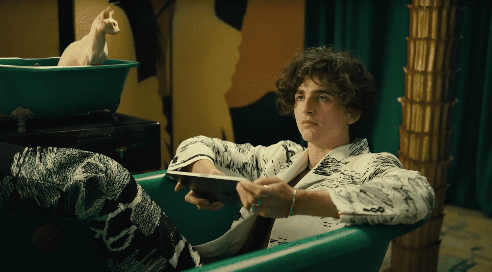 Timothée Chalamet błaga o rolę. Viralowy spot podbija internet