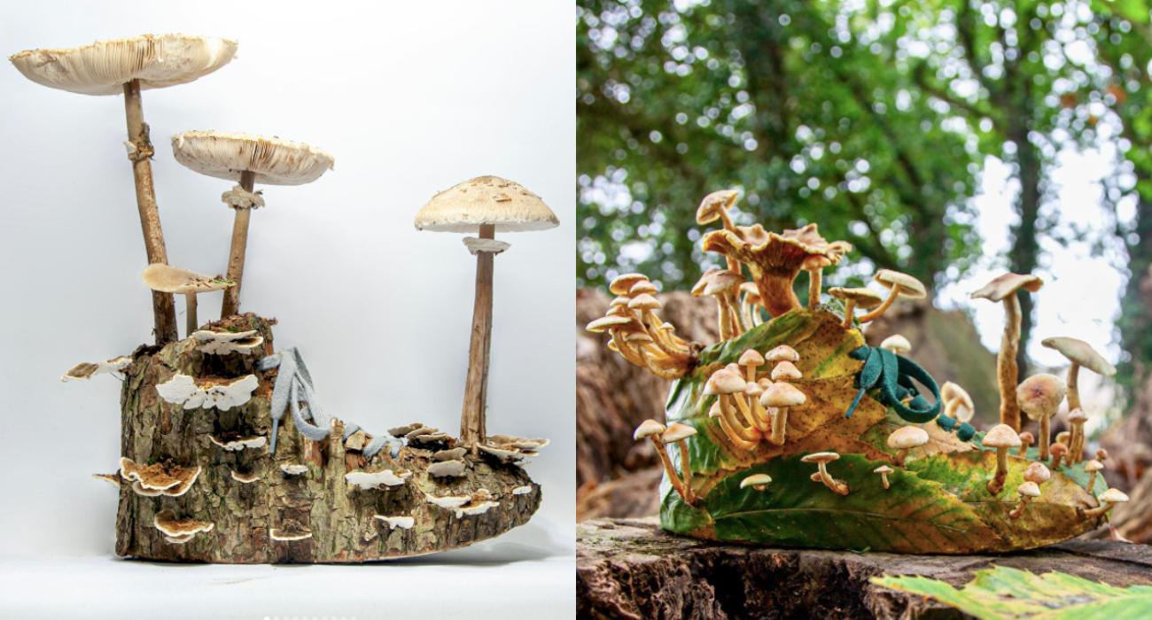 Leśne buty – tak wygląda połączenie roślin i grzybów ze sneakersami