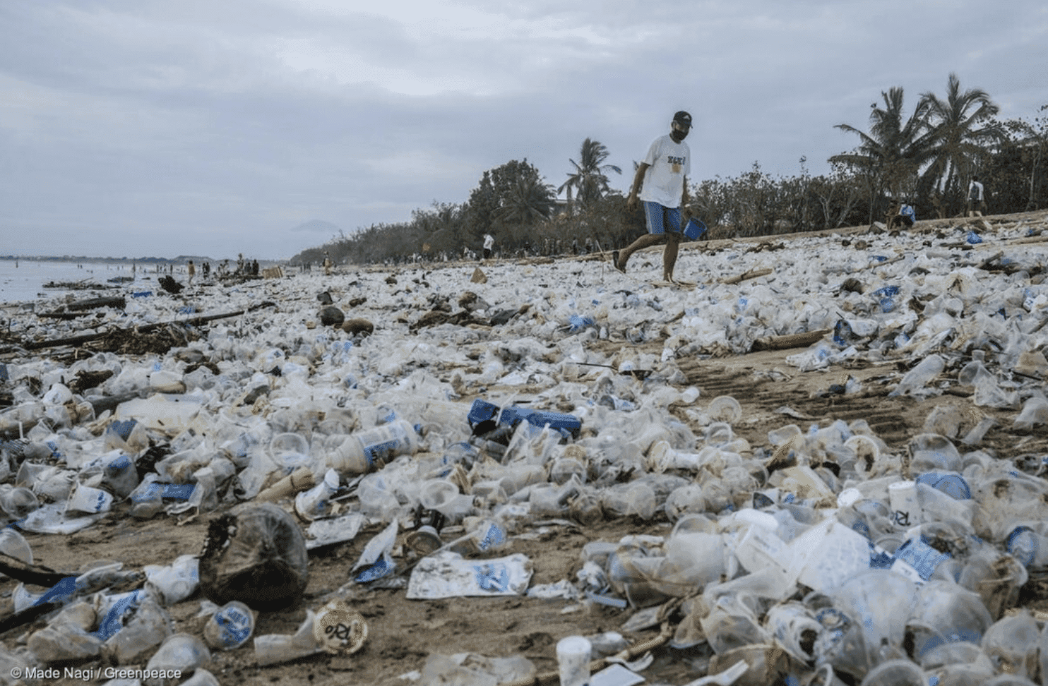 Giganci walczą z plastikowymi opakowaniami. Jak wygląda prawda?