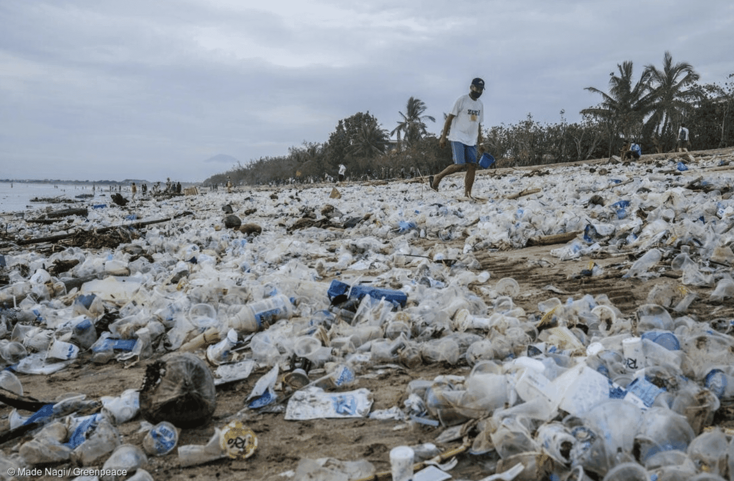 Giganci walczą z plastikowymi opakowaniami. Jak wygląda prawda?