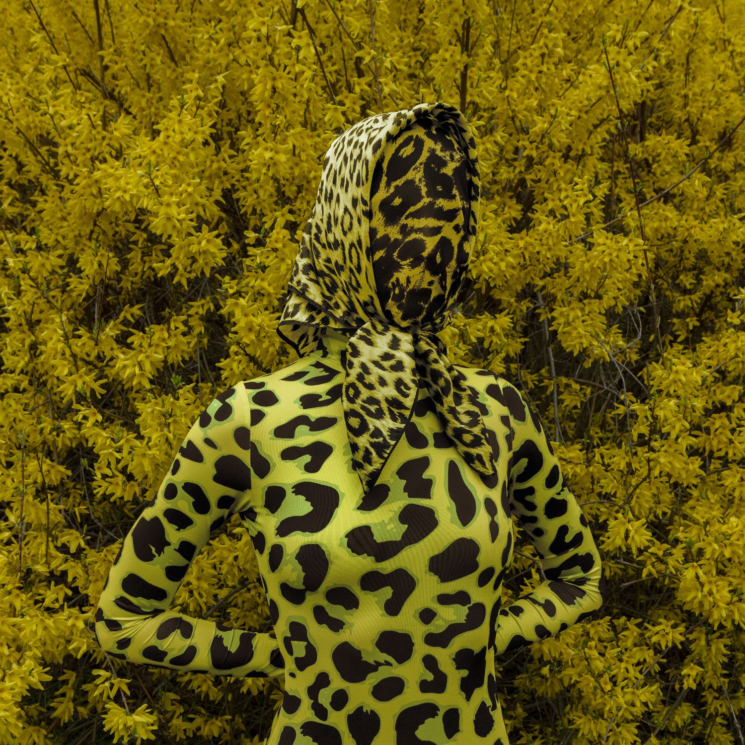 Artysta, bibliofil, przyrodnik amator, kolekcjoner, entuzjasta, erotoman. Rozmowa z Maurycym Gomulickim