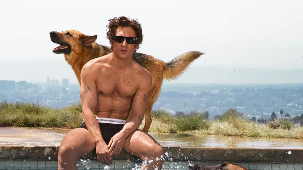 Kalifornijskie słońce i bokserki. Jeremy Allen White powraca w viralowej kampanii