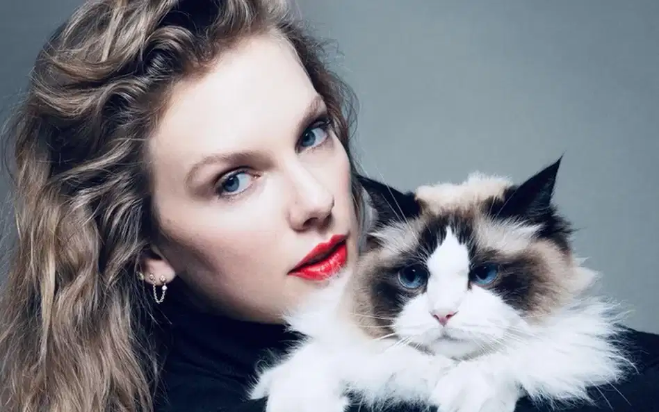 Taylor Swift nosi projekty polskiej marki bieliźnianej