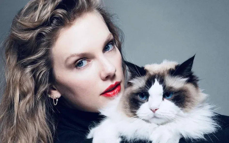 Taylor Swift nosi projekty polskiej marki bieliźnianej