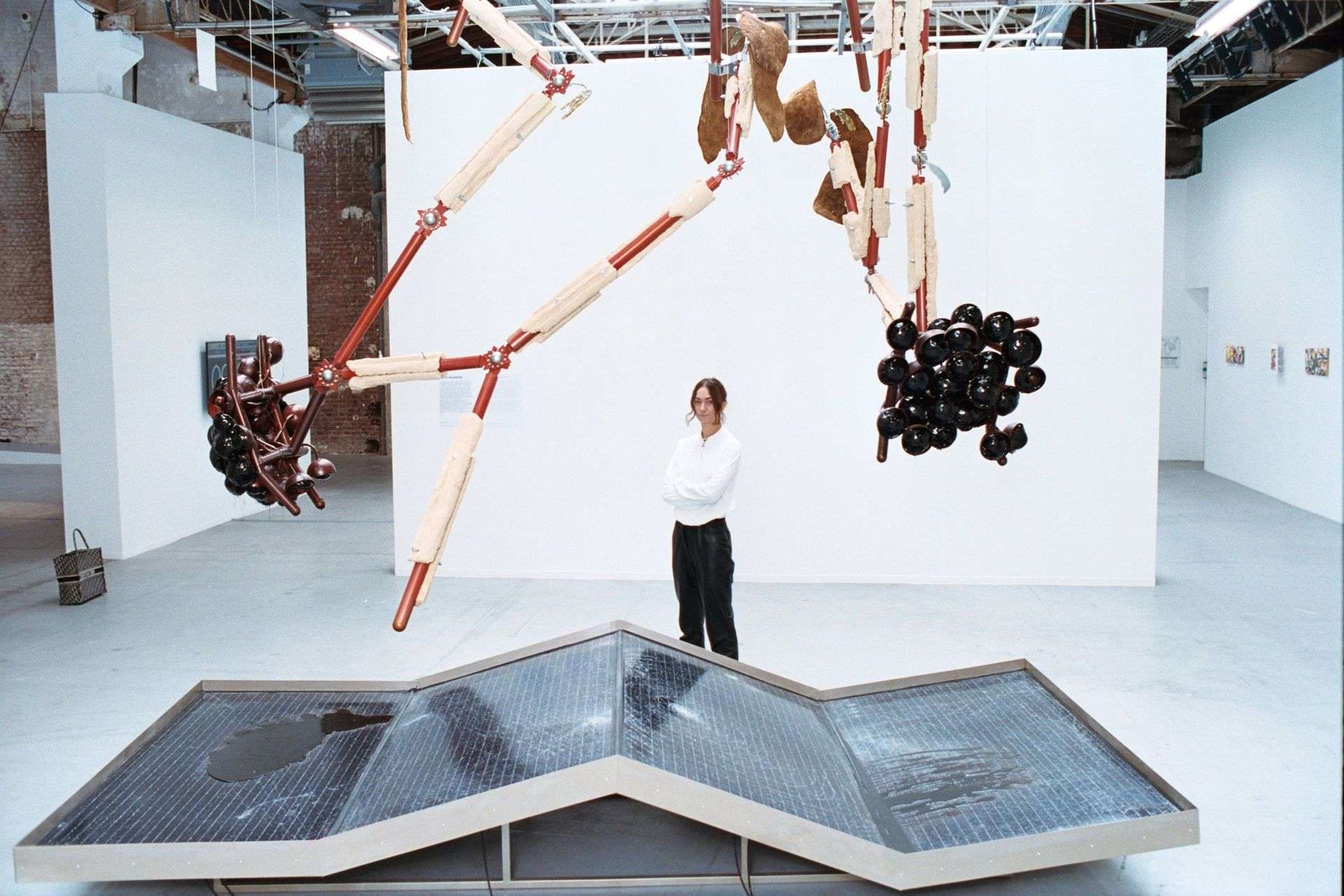 9 wyjątkowych wystaw początku 2025 roku. Jedzenie w sztuce, zwierzęta w fotografii, klasyki, abstrakcje, emocje i nowe początki