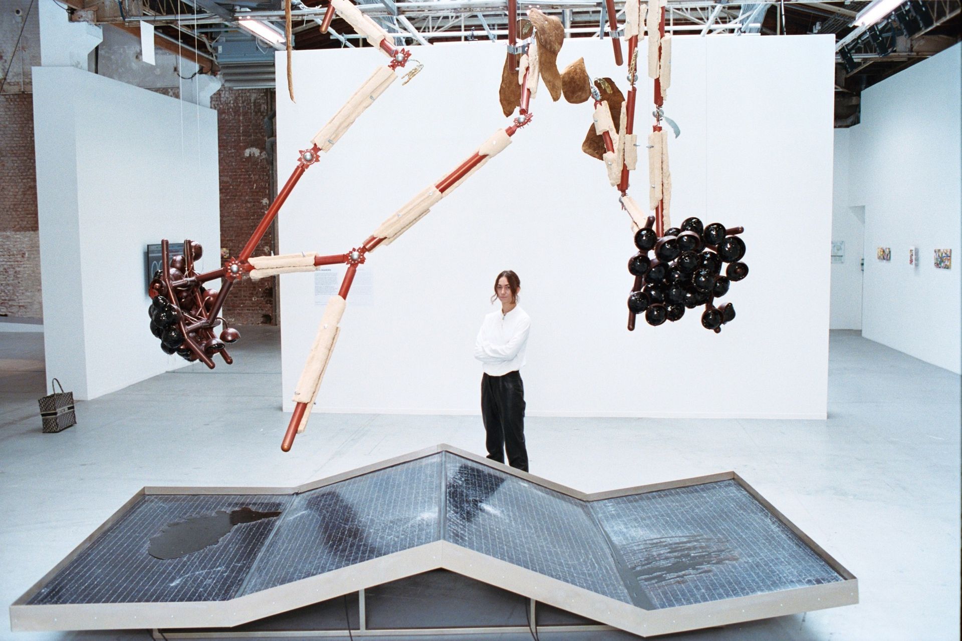 9 wyjątkowych wystaw początku 2025 roku. Jedzenie w sztuce, zwierzęta w fotografii, klasyki, abstrakcje, emocje i nowe początki