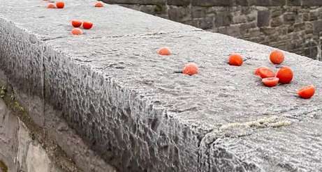 Viralowe pomidorki przymarznięte do mostu to największa atrakcja Dublina. I hit TikToka