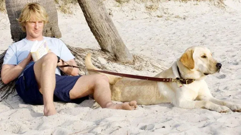 Psy bez łańcuchów! Polska zmienia prawa zwierząt