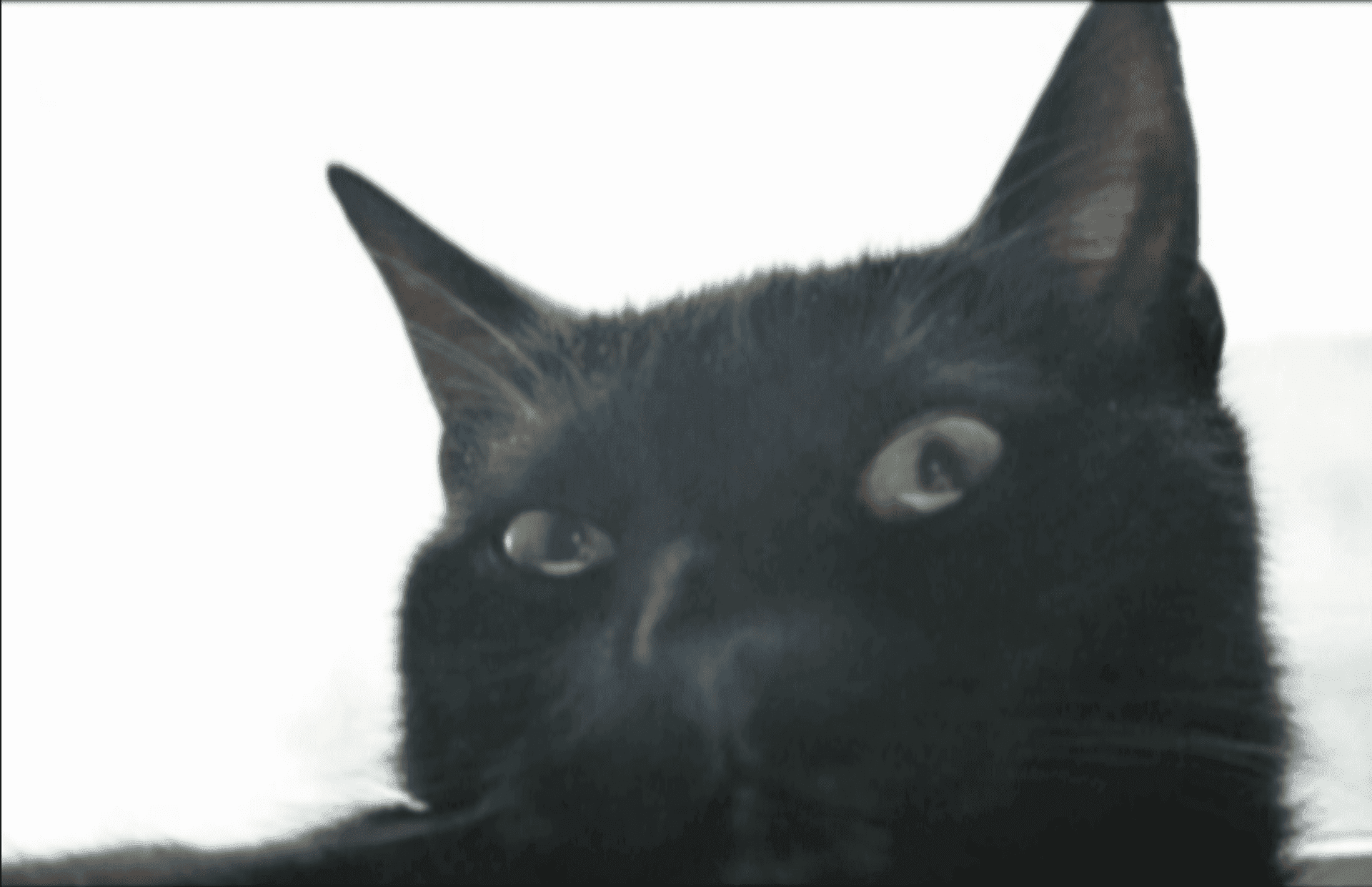 „Elementy dekoracyjne wnętrz”: napięcia, lęki, zwątpienia. Wystawa Dominiki Olszowy w U–jazdowskim