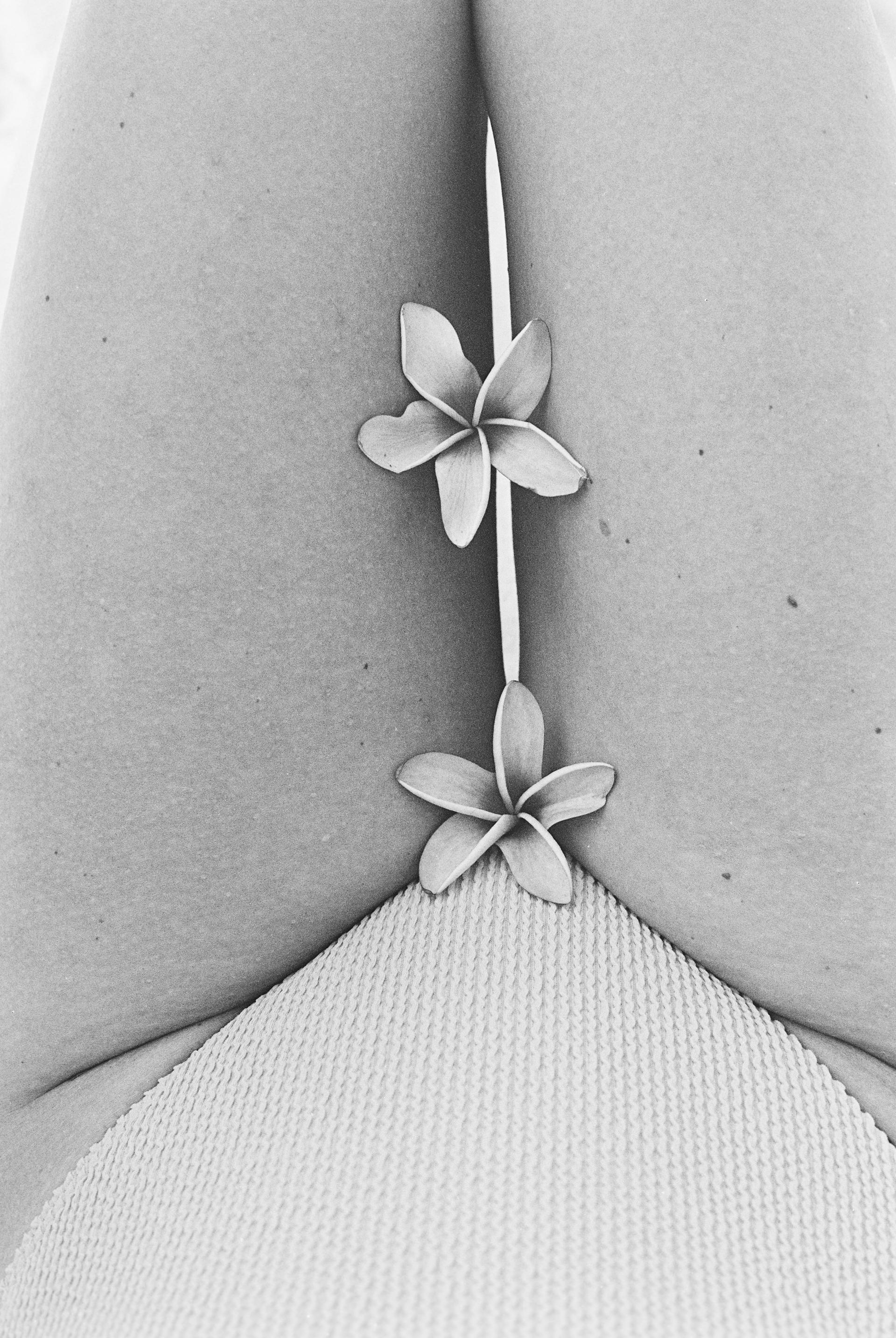 Plumeria