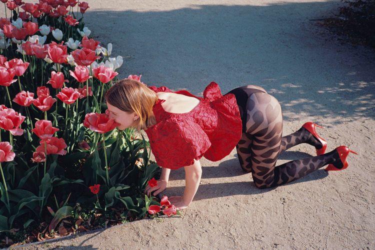 Tulipany